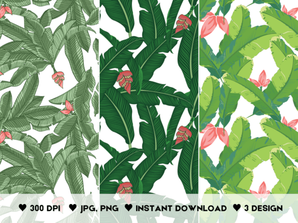 Vector Tropical Banana Leaves Patterns: The Ultimate Design Asset for Modern Interiors and Merchandise